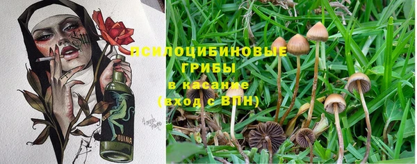 гашиш Приозерск