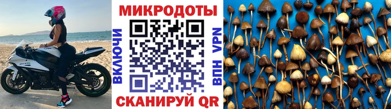 Галлюциногенные грибы MAGIC MUSHROOMS Сертолово